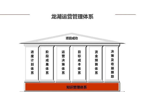 龍湖企業(yè)管理與運營精細化管理策略探析